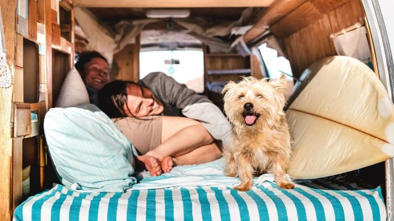 Pet-Friendly RV Resorts