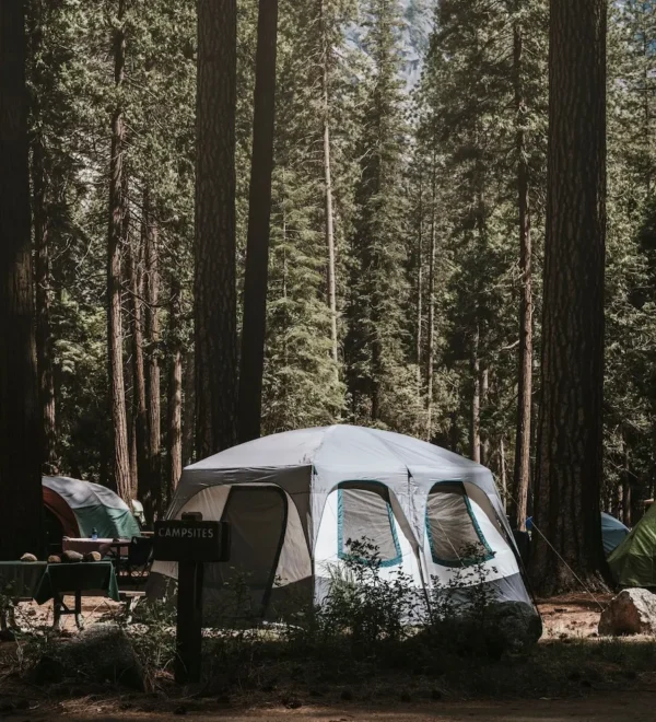 Best Willis Campgrounds for Houston Commuters
