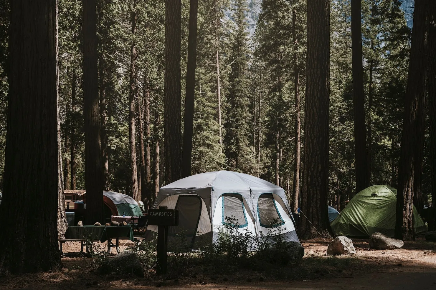 Best Willis Campgrounds for Houston Commuters
