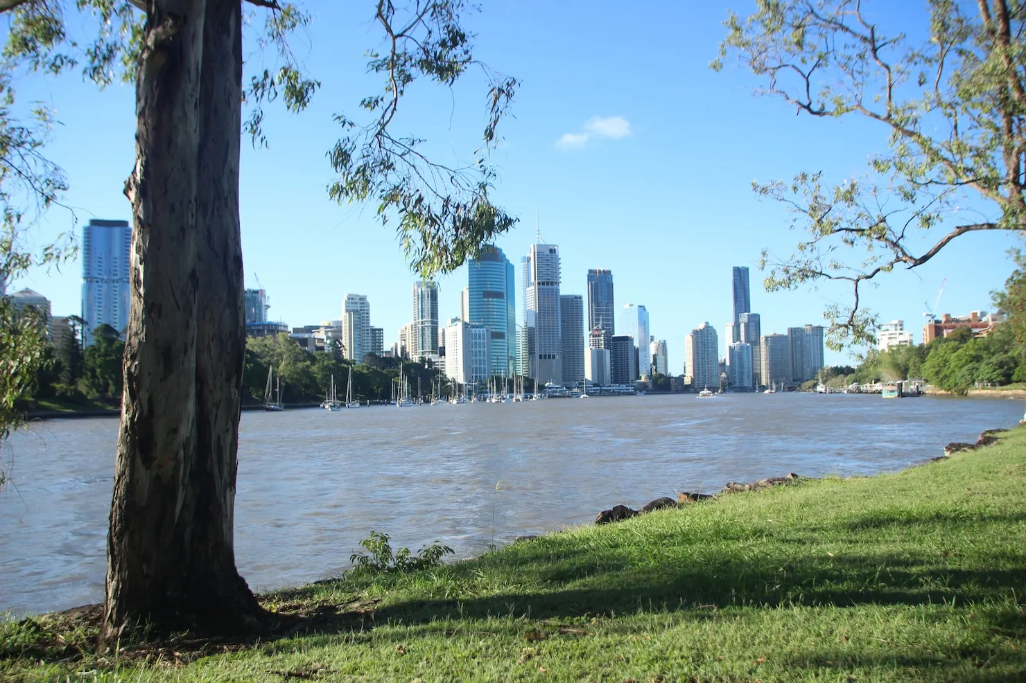 Best Neighborhoods for Houston Plant Workers