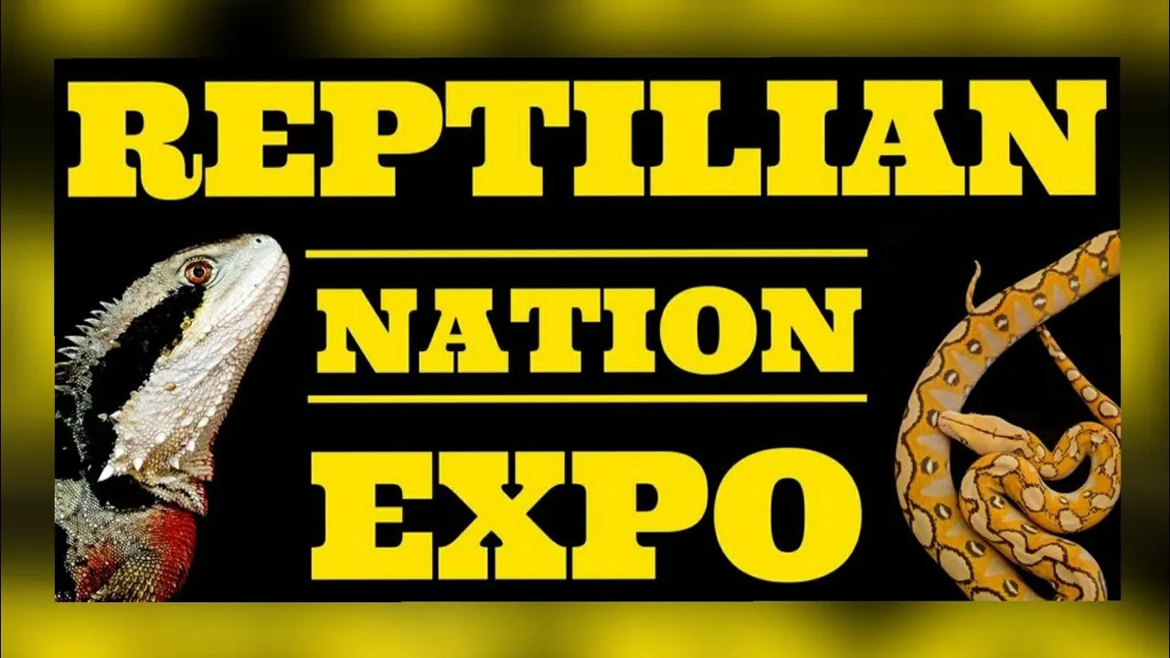 Reptilian Nation Expo